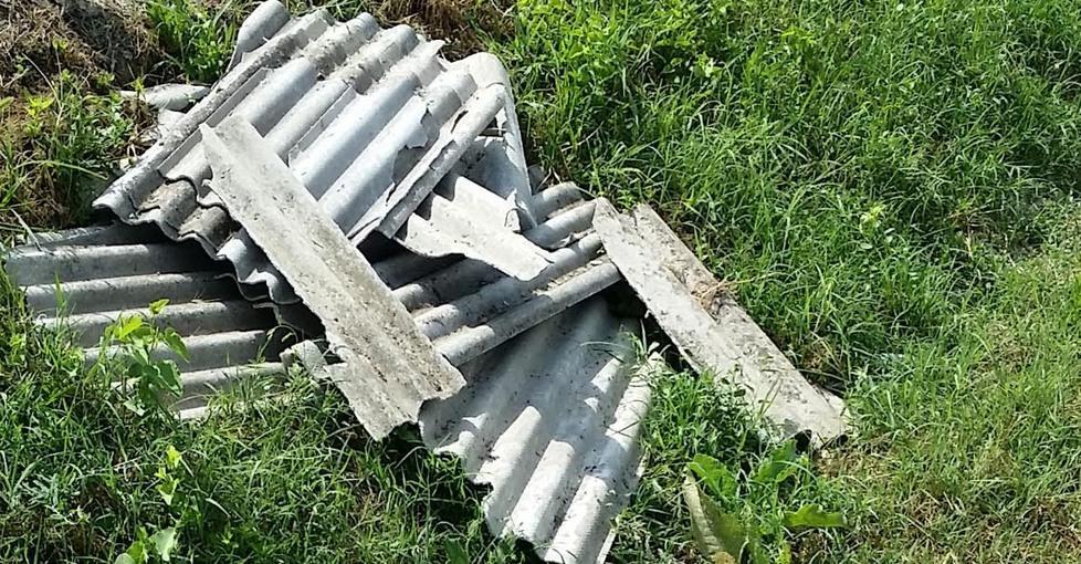Abbandonano l’eternit nell’Oasi di Campotto 