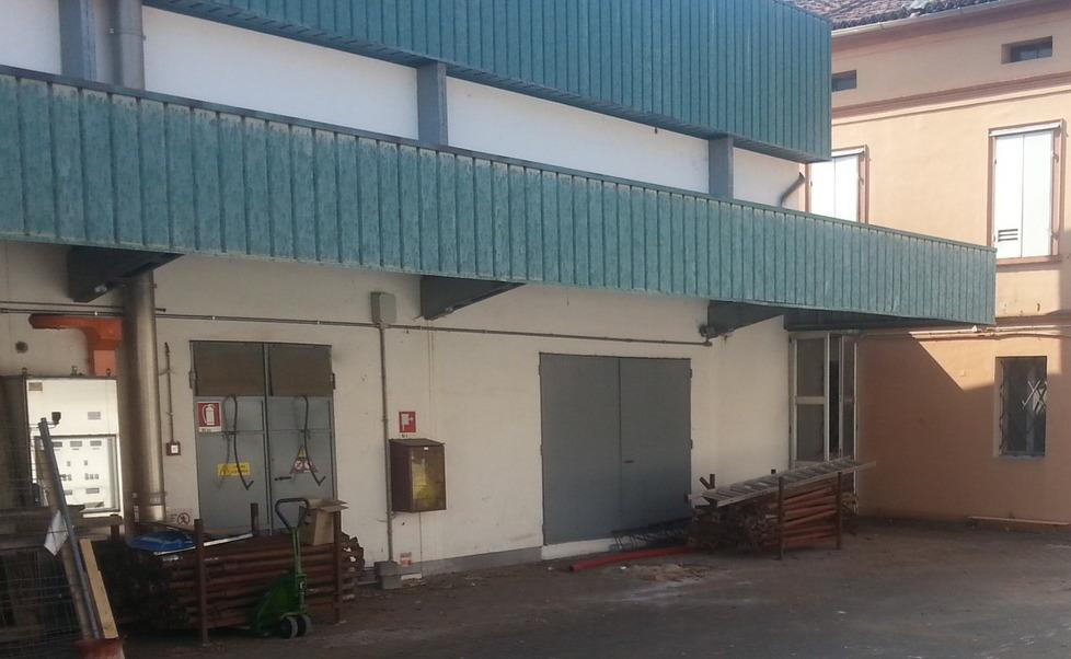 Il sindaco sui ratti «Bonifica eccezionale già buoni risultati» 