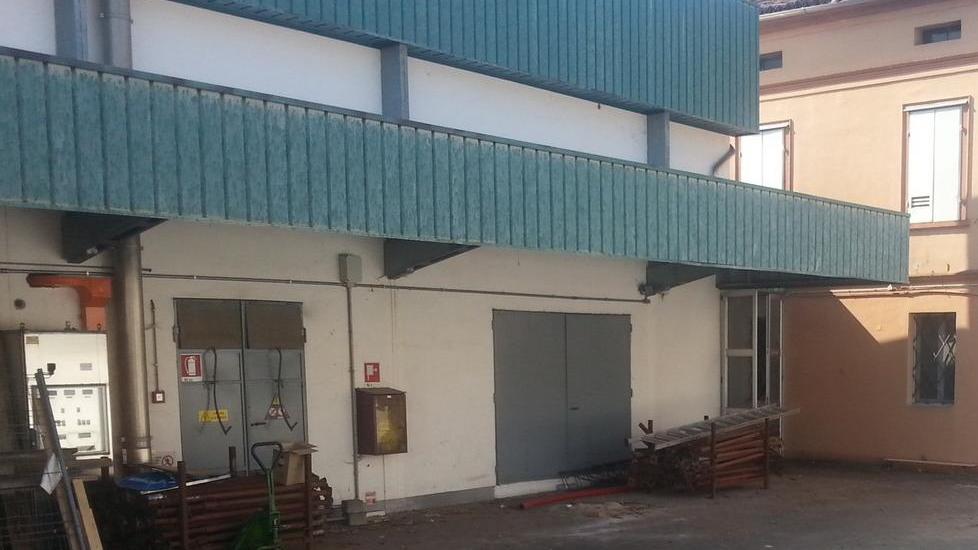 Il sindaco sui ratti «Bonifica eccezionale già buoni risultati»