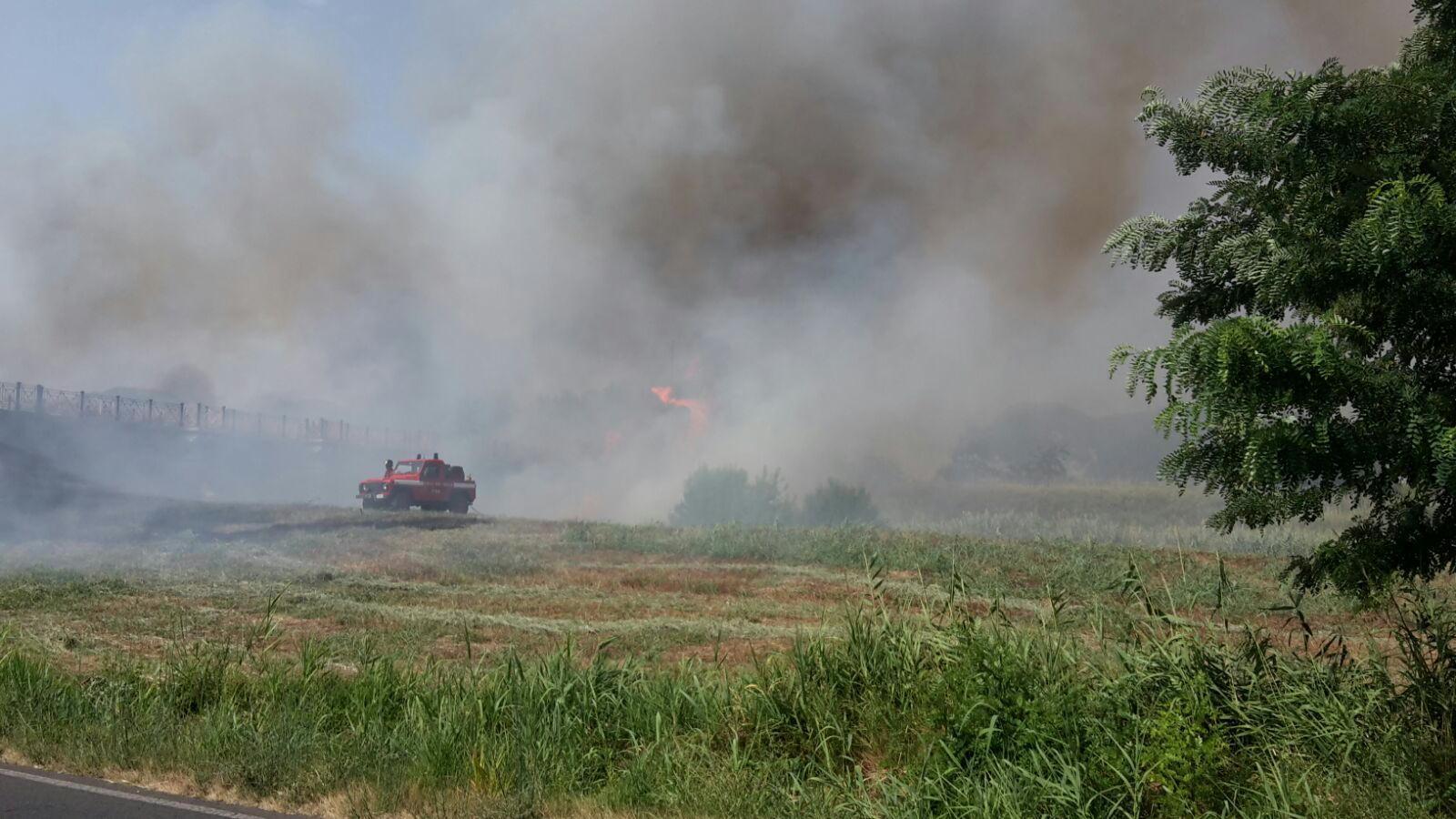 L'incendio nell'area ex Diversivo lungo la Castiglionese