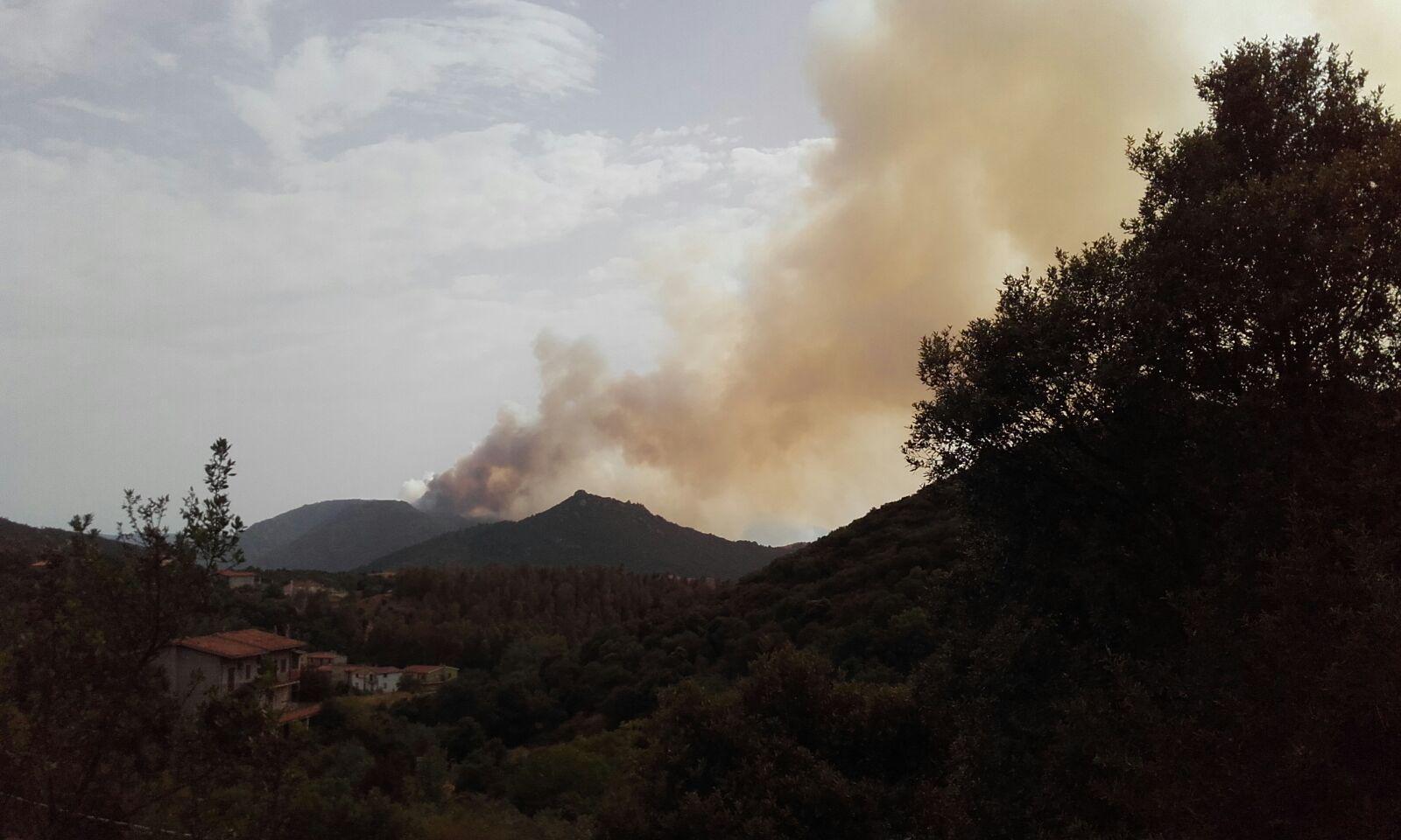 La colonna di fumo che si leva dall'incendio nelle campagne di Olzai 