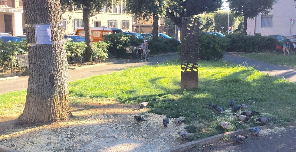 L'area di piazza della Libertà invasa dai piccioni