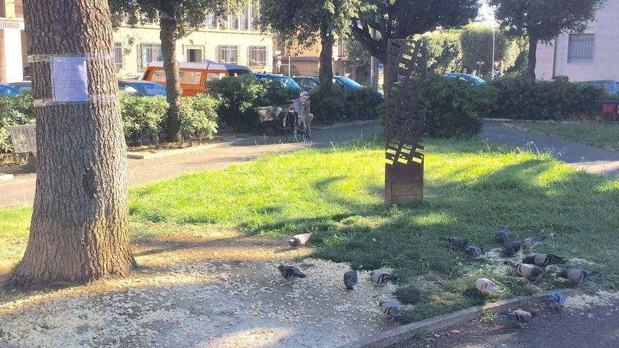 L'area di piazza della Libertà invasa dai piccioni