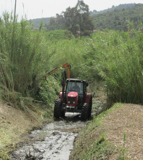 Manutenzione dei fossi a Bibbona e La California 