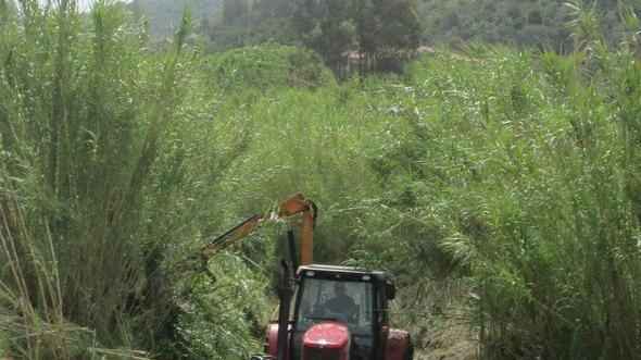 Manutenzione dei fossi a Bibbona e La California