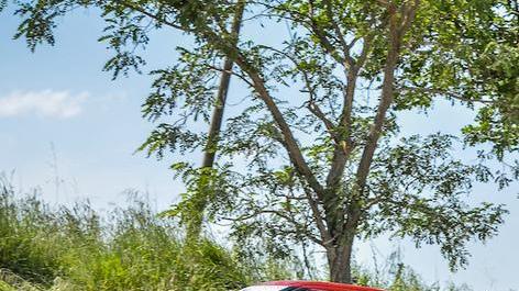 Rally, Martinelli in cerca di punti a Cremona