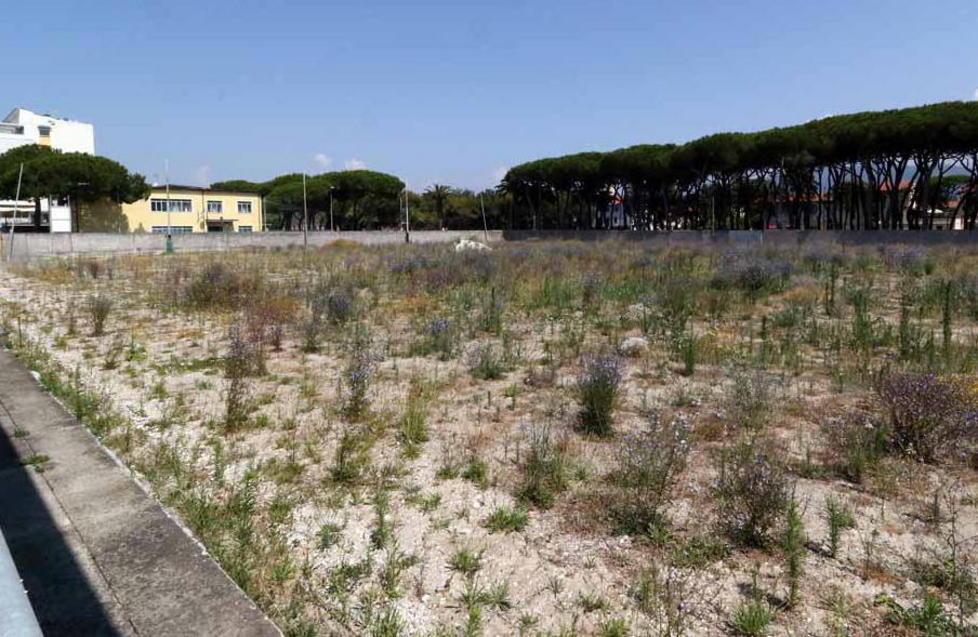 Campo dei Pini in abbandono Parte l’ultimatum del Comune 