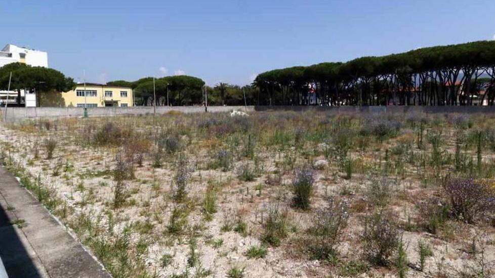 Campo dei Pini in abbandono Parte l’ultimatum del Comune