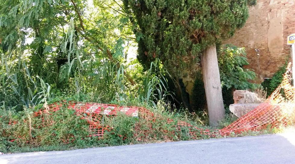 Decine di firme contro il degrado in via XX Settembre a Palaia 