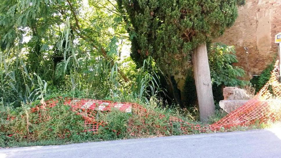 Decine di firme contro il degrado in via XX Settembre a Palaia
