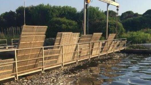 Laguna, il caso va in Parlamento: interrogato il ministro