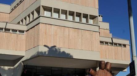 Cinque cani avvelenati con le esche, allevatore assolto