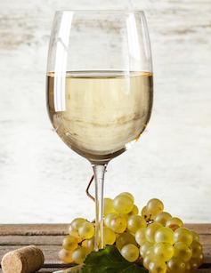 Il nobile Vermentino Mattariga Tutti i profumi delle colline di Usini 