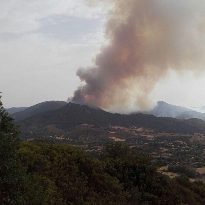 Il sud dell’isola brucia case evacuate e boschi in cenere 
