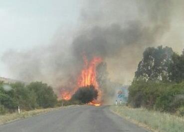 Un incendio tra Capo Comino e Irgoli