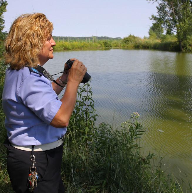 Cresce l’ipotesi iguana Proseguono le ricerche 