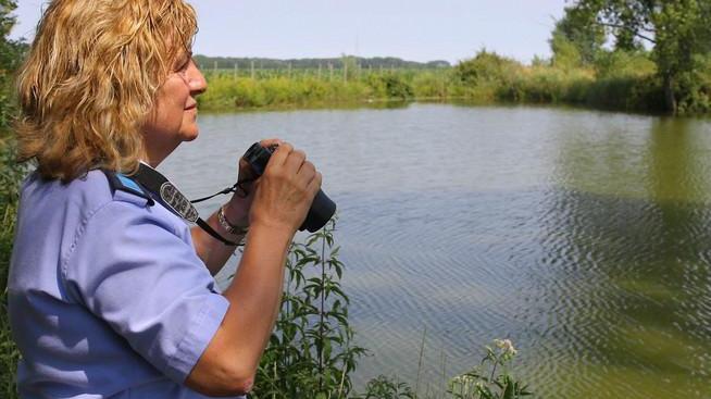 Cresce l’ipotesi iguana Proseguono le ricerche