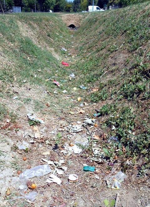 Novellara, al Parco Augusto il fosso sarà tombato 