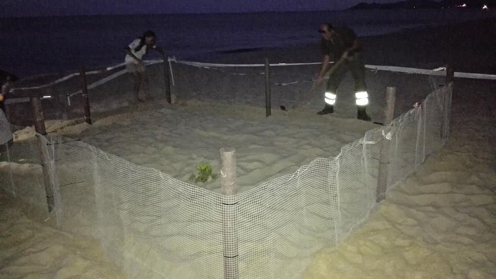 L'area dove è stato individuato il nido della Caretta caretta (foto Bulla)