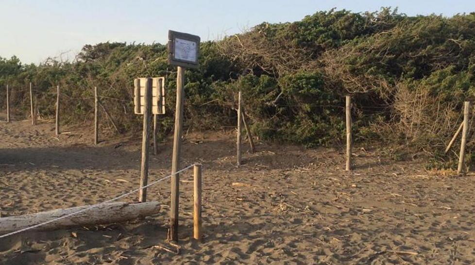 La nuova spiaggia per cani è al Tombolo nord 