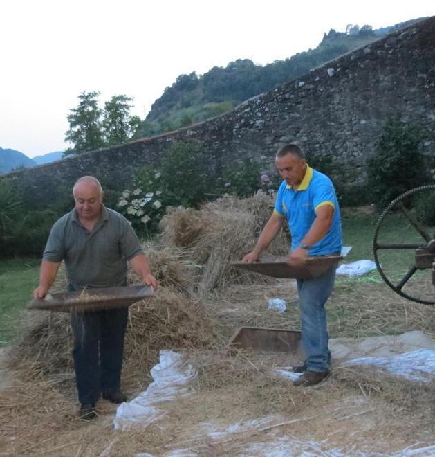 Battitura del grano come si faceva un tempo per celebrare la festa della Maddalena 