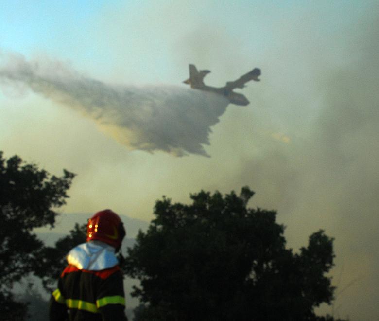Quasi 2mila ettari in fumo E arrivano le polemiche 