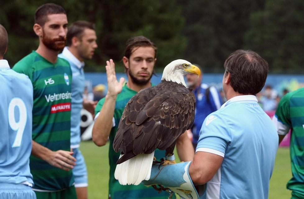 Spal, grinta e qualità Superato il test Lazio 