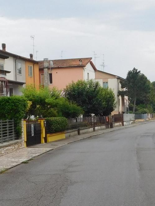 Vandali a Migliarino Macchine spaccate ma il furto non c’è