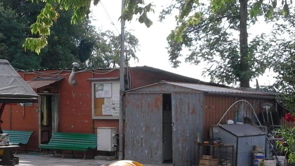 Ai laghetti i vandali sono maldestri