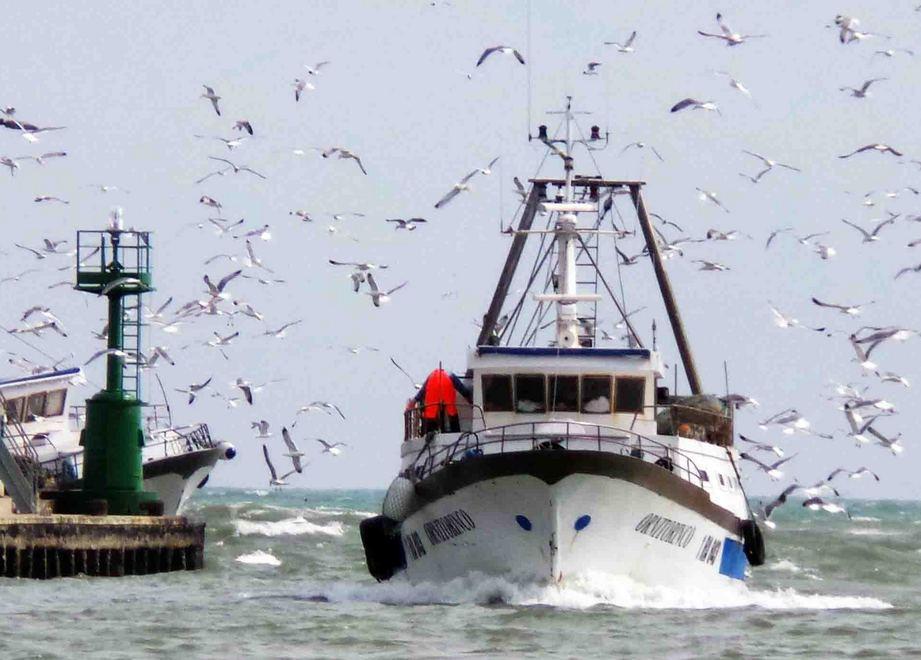 Fermo pesca da oggi al 5 settembre