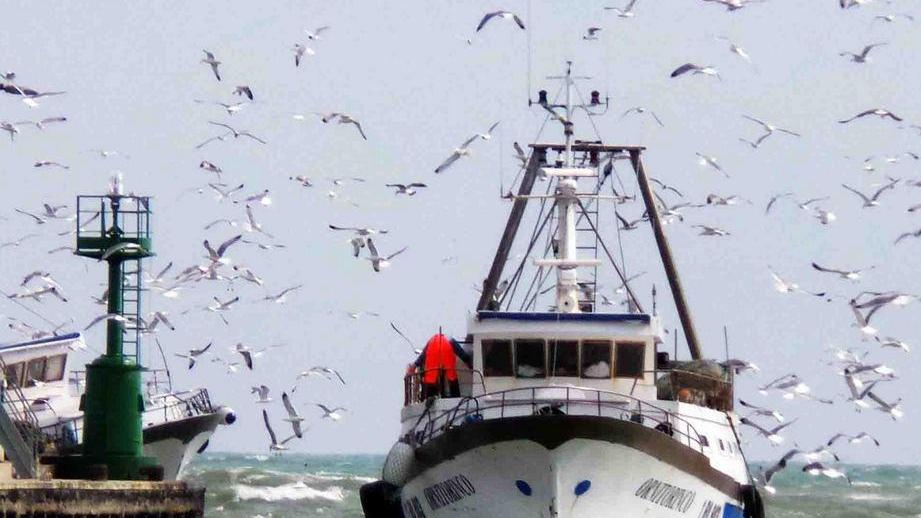 Fermo pesca da oggi al 5 settembre