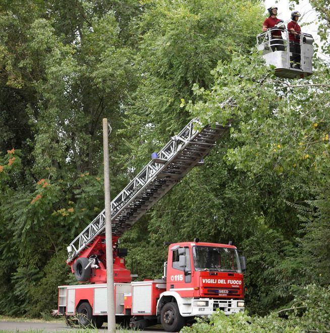 Albero cade sulla linea elettrica 