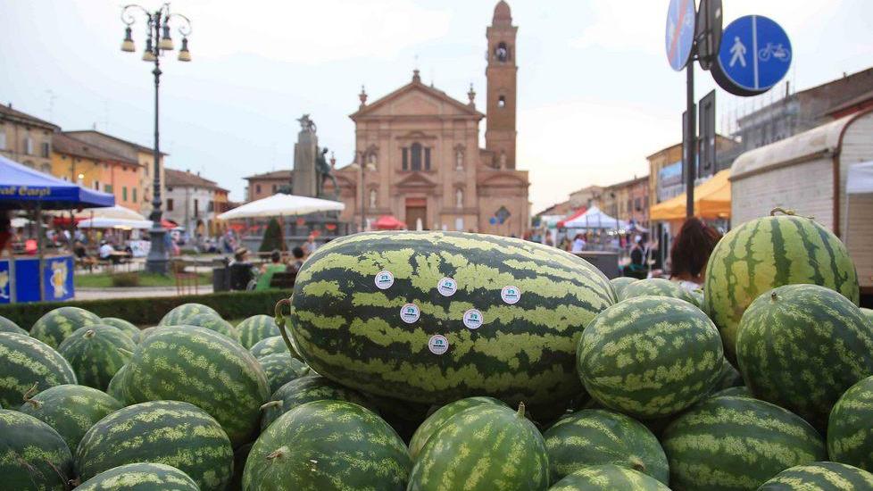 Miss Anguria 2016 è un cocomero che sfiora i 96 chili
