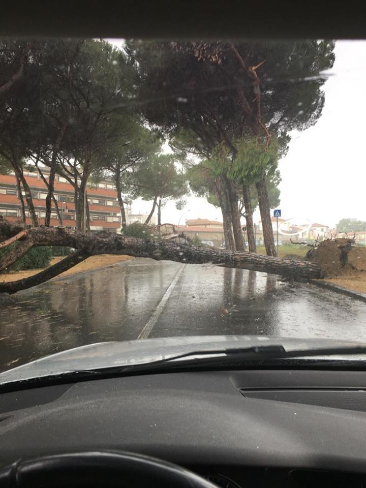 La foto inviata da Niccolò Paoli sulla nostra pagina Facebook