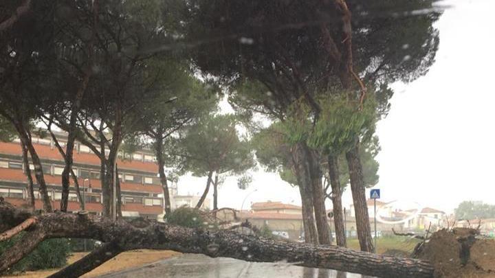 La foto inviata da Niccolò Paoli sulla nostra pagina Facebook