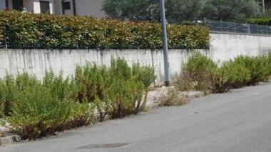 Martelloni: «Licciana preda del degrado»