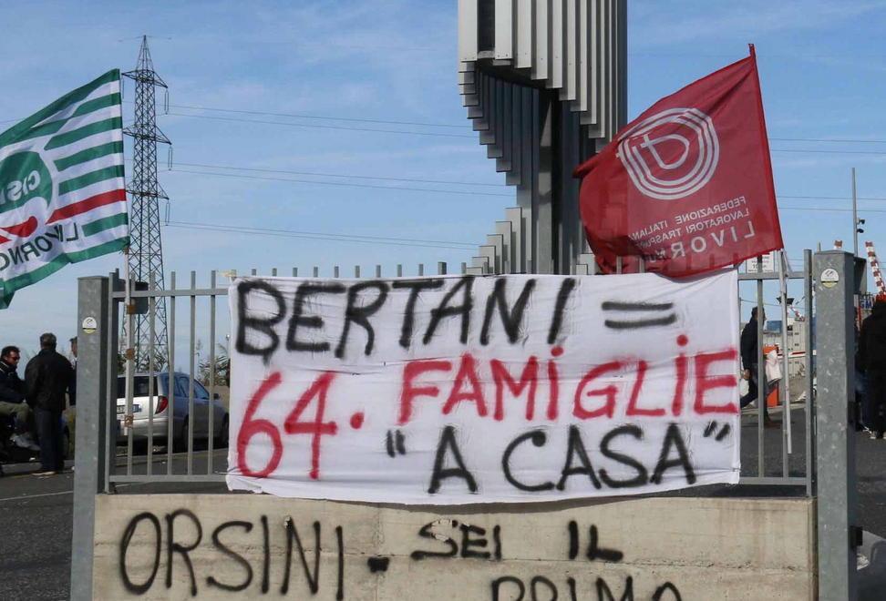 un anno di lotta