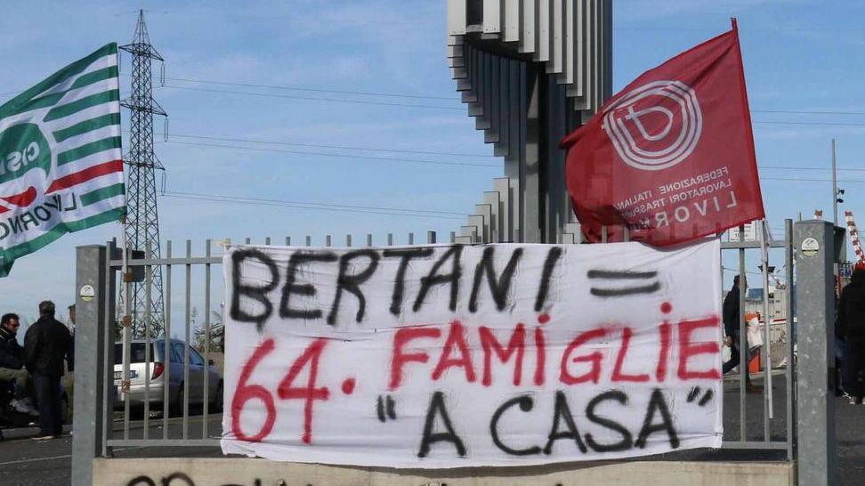 un anno di lotta