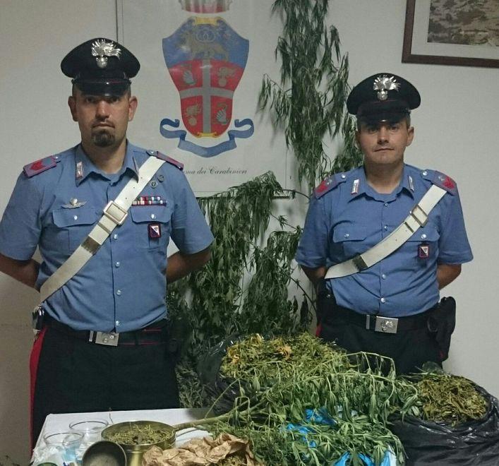 Cannabis in casa, fratelli nei guai 
