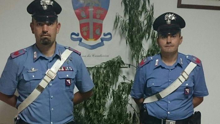 Cannabis in casa, fratelli nei guai