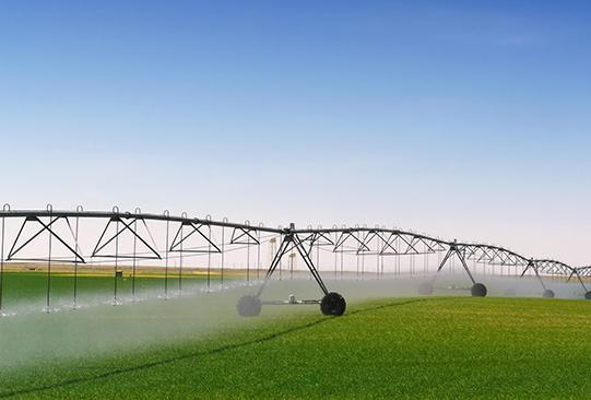 Alleanza ricerca-agricoltura finanziati 52 progetti