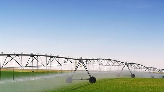Alleanza ricerca-agricoltura finanziati 52 progetti