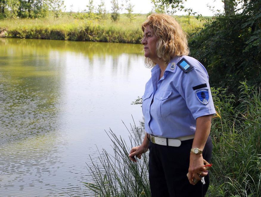 L’ipotesi di una battuta per scovare il rettile 