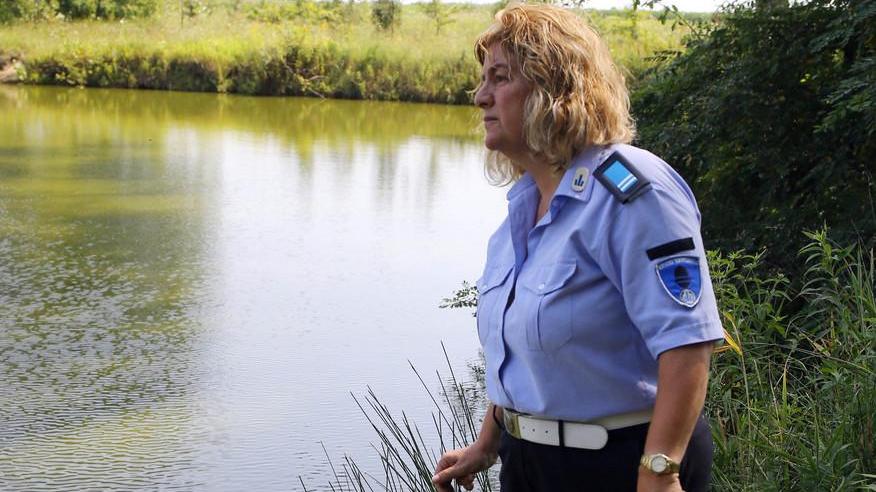 L’ipotesi di una battuta per scovare il rettile