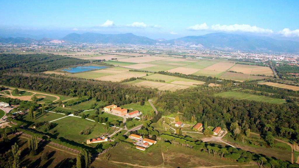 Una veduta del Parco di San Rossore