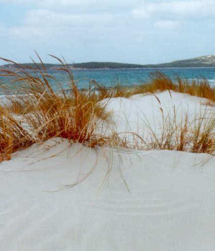 Top trend, la spiaggia di Porto Pino è la superstar di Google 