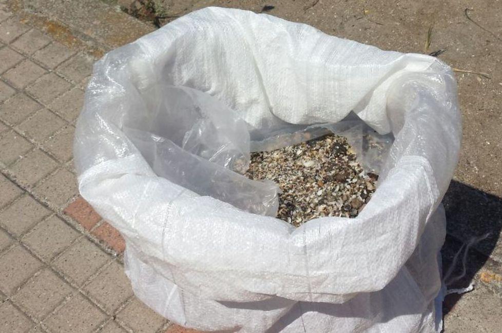 Turista sorpreso a rubare conchigliette a Platamona: tremila euro di multa 