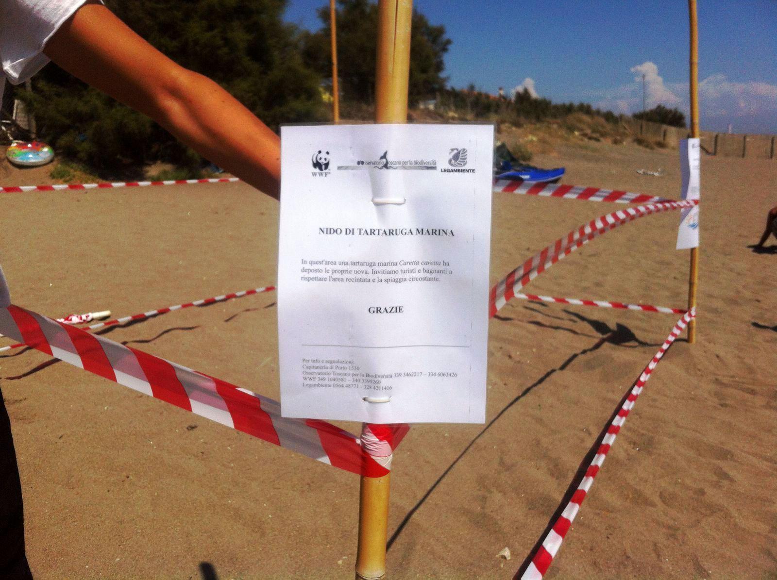 Attenzione, qui una tartaruga Caretta Caretta ha deposto le sue uova - L'avviso 