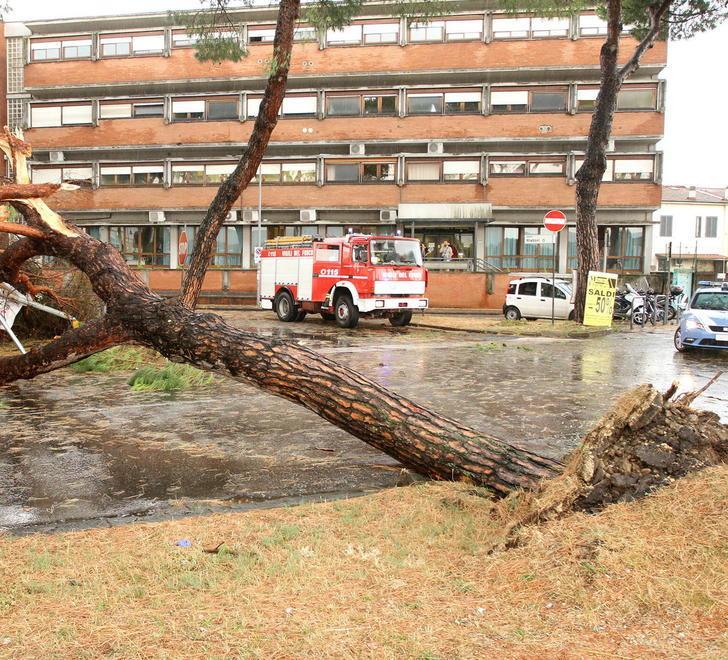 Pazzo luglio, alberi crollati come birilli 
