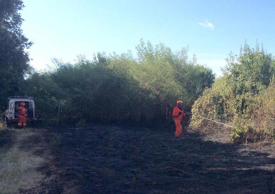 Incendio minaccia le case a Serragrande Tre ettari in fiamme